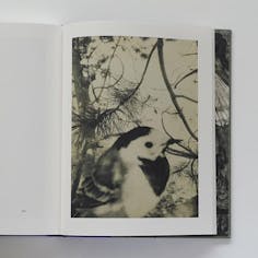 スティーブン・ギル写真集『Night Procession』※Nobody Books ポストカード付